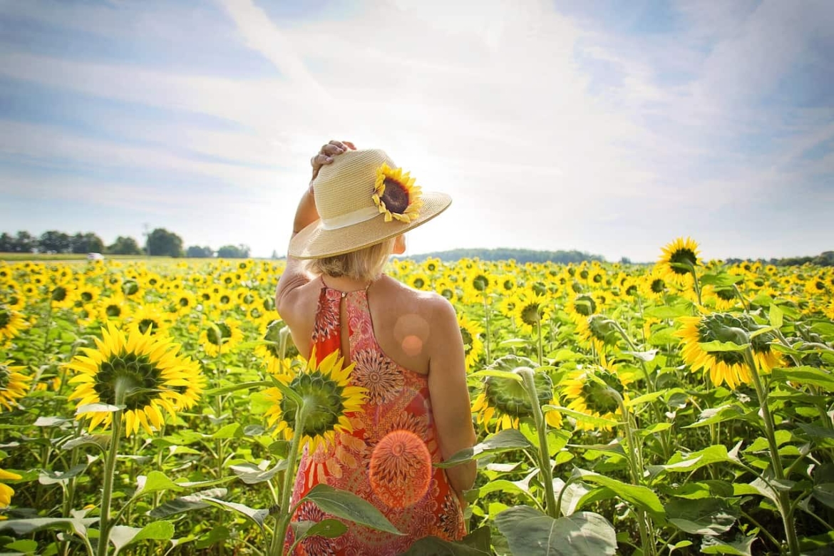 Sunshine
